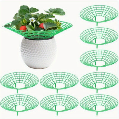 Soportes para plantas de fresa con tres patas resistentes, 5/10 Uds., proporcionan protección para fresas contra moho, podrido y suciedad