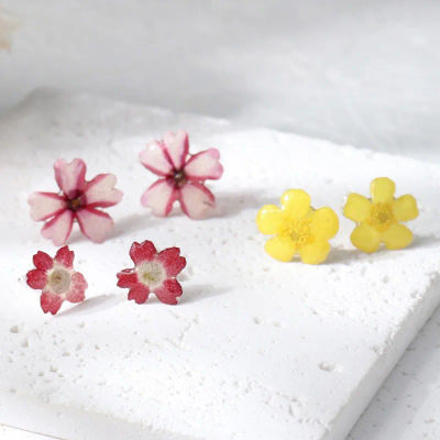 Elegantes Pendientes Pequeños con Flores Secas, Hechos a Mano con Resina Epoxi, Pendientes con Flores Prensadas, Joyería Natural de Plantas al por Mayor