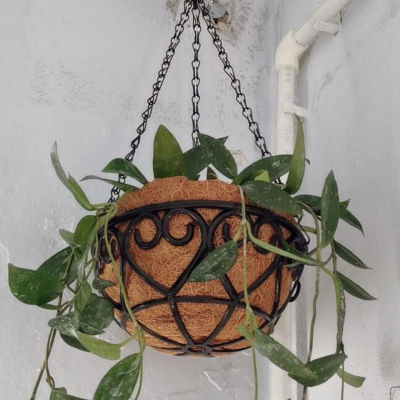 Cesta colgante de cadena de hierro redonda de color marrón coco, maceta europea creativa de planta verde carnosa, maceta de Chlorophytum Comosum