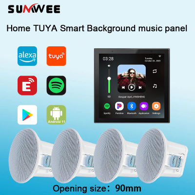 Hogar Audio inteligente Android 11 sistema WIFI TUYA panel de Control bluetooth amplificador de pared altavoces de techo ALEXA reproductor de música de voz