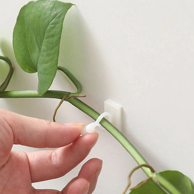 10 Uds. Clips de fijación para pared trepadora de plantas de jardín para el hogar, fijador de vid de ratán, gancho de hebilla fija para pared trepadora de plantas autoadhesivas