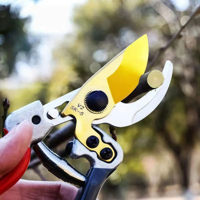 Cizallas hortícolas para recortar ramas, árboles frutales, flores y todo tipo de plantas, cuchillas de aleación para nitidez y corte sin esfuerzo