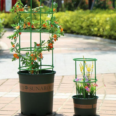 Juego de 9 Soportes para Plantas de 3 Niveles, Anillos Redondos de Plástico para Plantas, Soporte para Macetas, Enredadera para Plantas