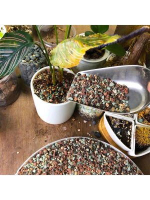 Mezcla de guijarros de roca de Lava hortícolas, pómez, invasado de suelo, cactus suculento, bonsái, roca gritosa, planta de grava decorativa Dr
