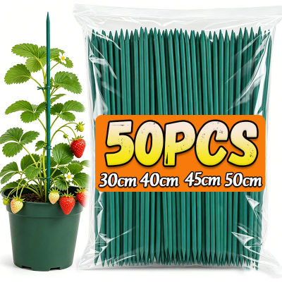 Varillas de Soporte para Plantas, Cañas de Bambú, Estacas de Soporte para Plantas, Varillas para Tomates, Soportes para Flores, Varillas para Plantas Trepadoras, Varillas de Jardín