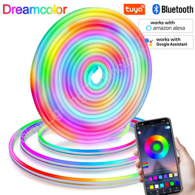 Tira de luces LED de neón Multicolor, cuerda de luz RGBIC de 12V, resistente al agua, efecto de búsqueda, Flexible, con WiFi, Bluetooth y control remoto