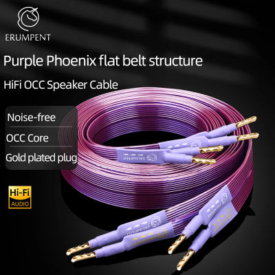 Cable de altavoz HiFi OCC, correa plana de cobre puro de alta gama con conector Banana Y chapado en oro sólido dentado para amplificador de altavoz