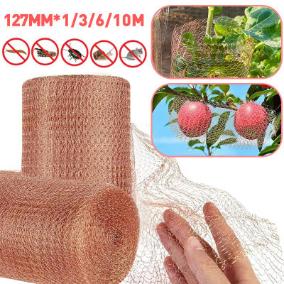Malla de cobre antiparaspas, red de alambre de cobre antiespigas, red de protección de señal, alambre de cobre para roedores, suministro de jardín para plantas protcetadas