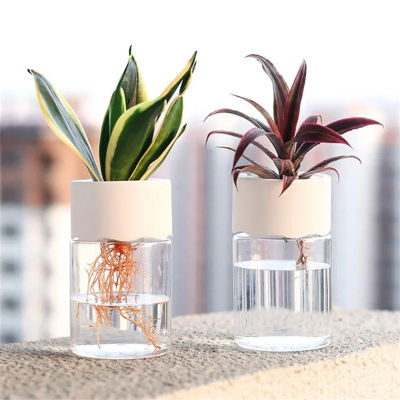 Mini maceta hidropónica, florero transparente sin suelo para decoración del hogar, maceta de plantas verdes de imitación de vidrio