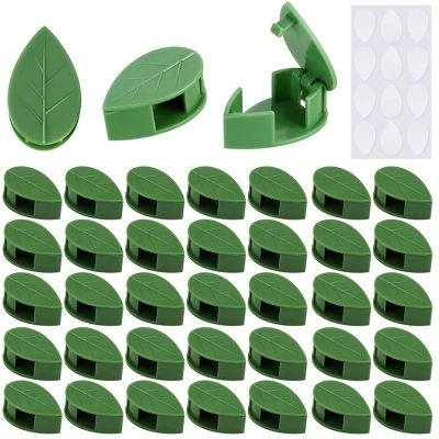 Clips invisibles para fijar pared trepadora de plantas, pegatina acrílica, gancho autoadhesivo, soporte de tracción para plantas y vid, interior y exterior, 10-100x