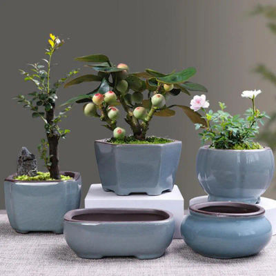 Maceta de cerámica Retro para plantas suculentas, jarrón transpirable, contenedor para bonsái, decoración para el hogar, jardín y balcón