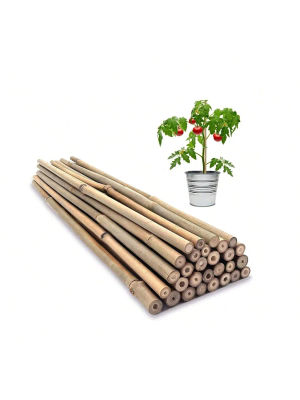 Estacas de madera para jardín de bambú, estacas de madera ecológicas para plantas de bambú, palos de bambú para plantas trepadoras