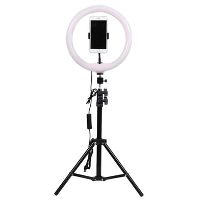 Snapsy Ringlys 10" (160 cm)