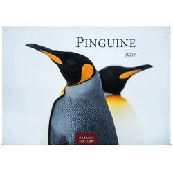 Wandkalender Pinguine Kalender 2027 - Wandkalender, Fotokalender Tierkalender...