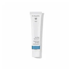 Dr. Hauschka Tagescreme Ice Plant Face Cream 40ml