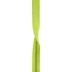 Edelrid X-tube 25mm oasis (138) 100 M