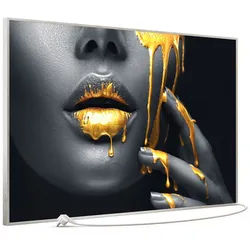 STEINFELD Heizsysteme Infrarotheizung Bild 900W, 120x74cm, Made in Germany, 7J Garantie, mit Thermostat, viele Motive silberfarben