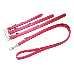 HEIM Hunde-Halsband Halsband + Führleine "Colour" pink, verschiedene Breiten und Längen rot 2.5 cm x 35 cm