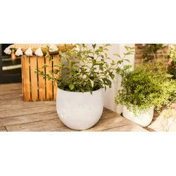 Restberry ́s plant pot Aada ø 45 cm
