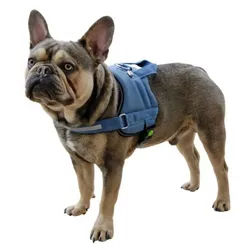 Kerbl Hunde-Geschirr Geschirr Maestro 2.0 petrol 45 cm - 60 cm 80210
