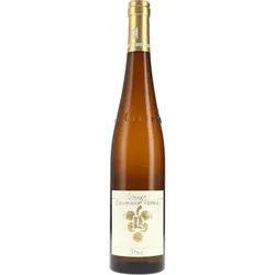 Kastanienbusch Riesling GG Ökonomierat Rebholz 2023 BIO