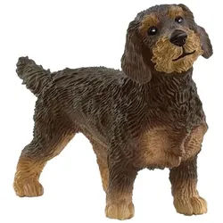 Wire-Haired Dachshund