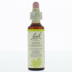 Bach®-Blüte White Chestnut (Weiße Kastanie)