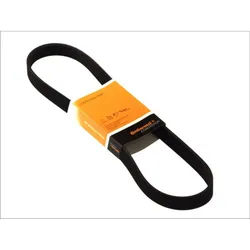 Keilrippenriemen Continental CTAM 6PK894