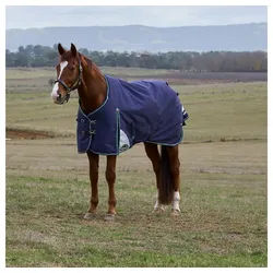 WeatherBeeta Pferde-Regendecke Weatherbeeta Comfitec Plus Dynamic Turnout 0g 155 cm / 6'9 cm