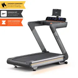 Reebok Z-Tech Laufband