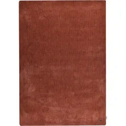 Hochflor-Teppich TOM TAILOR HOME "Shaggy Teppich Cozy", braun, B:65cm H:25mm L:135cm, Polyester, Teppiche, Uni Farben, auch in Pastell Farben, weich & kuschelig