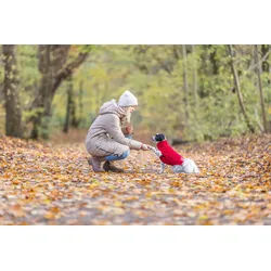 TRIXIE Pullover Norwood, rot, 18 cm