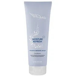 Angel Care Moisture Refresh Conditioner (250 ml)