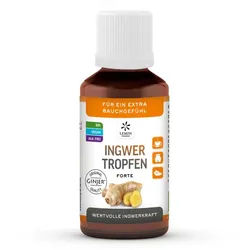 Ingwer Ginjer Forte Tropfen