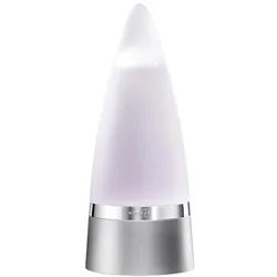 Rochas Man Eau de toilette Spray 100 ml Männer