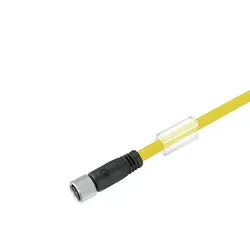 Weidmüller Kabel SAIL-M8BG-4-3.0UGE