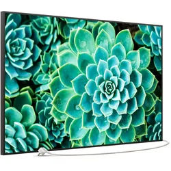 STEINFELD Heizsysteme Infrarotheizung Bild 900W, 120x74cm, Made in Germany, 7J Garantie, mit Thermostat, viele Motive schwarz