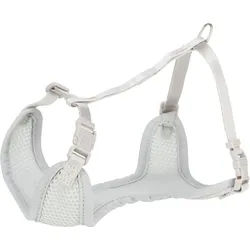 TRIXIE Junior Welpen-Softgeschirr mit Leine, M–L: 36–50 cm / 10 mm, 2,00 m, hell...