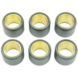 Athena S.p.A. Variomatikrollen 23x18mm 18gr - 6er-Set