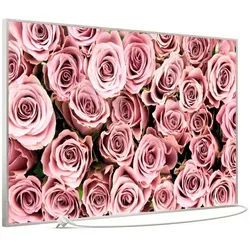 STEINFELD Heizsysteme Infrarotheizung Bild 900W, 120x74cm, Made in Germany, 7J Garantie, mit Thermostat, viele Motive silberfarben