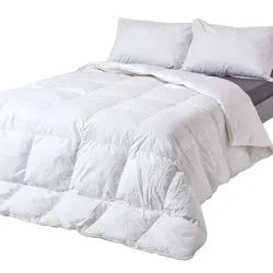 Homescapes Winterdecke 260/220 cm, Gänse-Federn & Daunen , Weiß , Textil , Rechteckig , 260x220 cm , Oeko-Tex® , Heimtextilien, Kopfpolster & Bettdecken, Bettdecken, Winterdecken