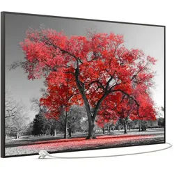 STEINFELD Heizsysteme Infrarotheizung Bild 900W, 120x74cm, Made in Germany, 7J Garantie, mit Thermostat, viele Motive schwarz
