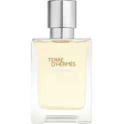 HERMÈS Terre d’Hermès Eau Givrée Eau de Parfum nachfüllbar für Herren 50 ml