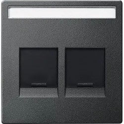 Merten MEG4564-0414 Zentralplatte für Modular Jack 2-fach mit Schriftfeld und Staubschutzschieber, System M, anthrazit