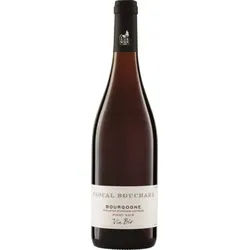 Pinot Noir Bourgogne Pascal Bouchard 2023 BIO