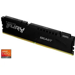 FURY Beast DDR5-5600 - 8GB - CL36 - Single Channel (1 pcs) - AMD EXPO & Intel XMP - Schwarz