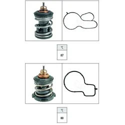 FACET Thermostat, Kühlmittel 77983kk für Skoda