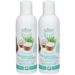 Coat Harmony Shampoo mit Kokosnuss - AniForte® - (auf Englisch)