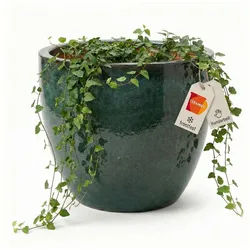 Teramico Blumentopf Pflanzgefäß "Egg Pot" Moosgrün – Ø 21 bis 48 cm – Frostfest (1 St), Frostfest, UV-Fest grün Ø 38 cm x 31 cm