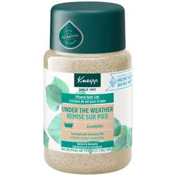 Kneipp - Mineralisches Badesalz Under the Weather ‚Äì Eukalyptus 500 g